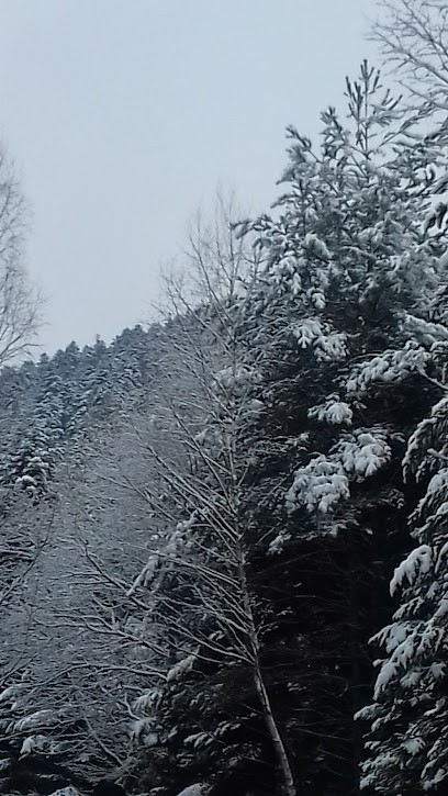 Alexandre Chanal, Chocolatier à Saint-Michel-sur-Meurthe