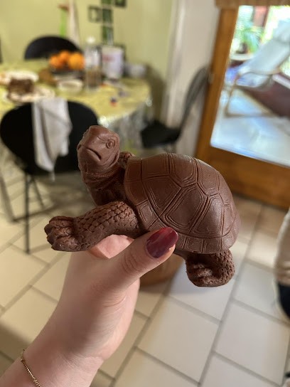 Gap Chocolats, Chocolatier à Niort