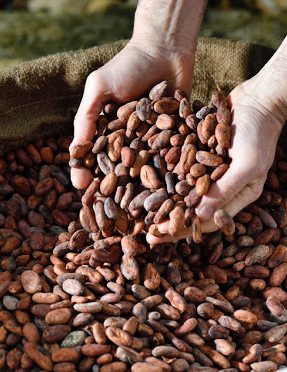 Carré D'art, Chocolatier à Cabrières